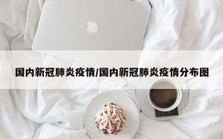 国内新冠肺炎疫情/国内新冠肺炎疫情分布图