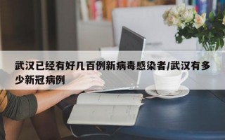 武汉已经有好几百例新病毒感染者/武汉有多少新冠病例