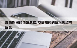 疫情期间的情况总结/疫情期间的情况总结与反思