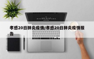 孝感20日肺炎疫情/孝感20日肺炎疫情报告