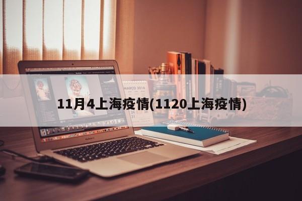 11月4上海疫情(1120上海疫情)-第1张图片-某年资讯