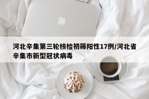 河北辛集第三轮核检初筛阳性17例/河北省辛集市新型冠状病毒-第1张图片-某年资讯