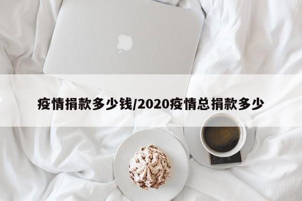 疫情捐款多少钱/2020疫情总捐款多少-第1张图片-某年资讯