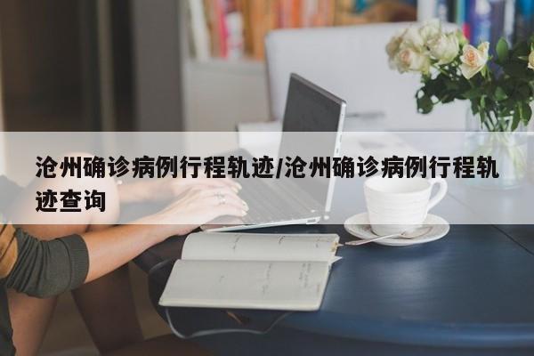 沧州确诊病例行程轨迹/沧州确诊病例行程轨迹查询-第1张图片-某年资讯