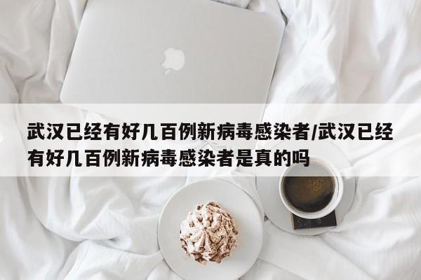 武汉已经有好几百例新病毒感染者/武汉已经有好几百例新病毒感染者是真的吗-第1张图片-某年资讯