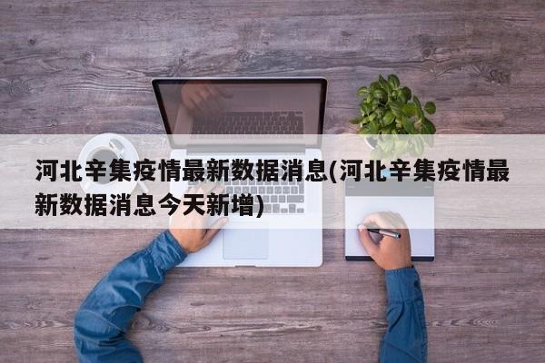 河北辛集疫情最新数据消息(河北辛集疫情最新数据消息今天新增)-第1张图片-某年资讯