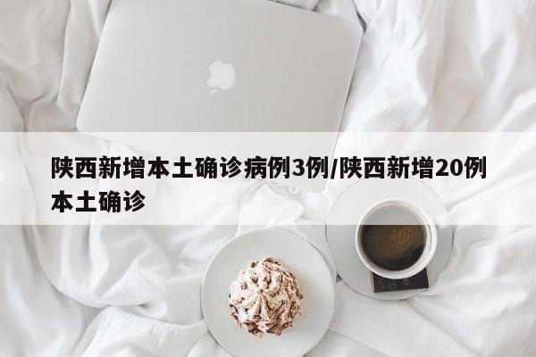 陕西新增本土确诊病例3例/陕西新增20例本土确诊-第1张图片-某年资讯